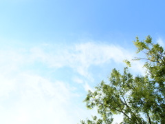 P5214367