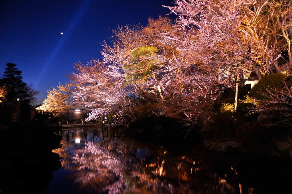 春の清水から