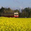 菜の花鉄道