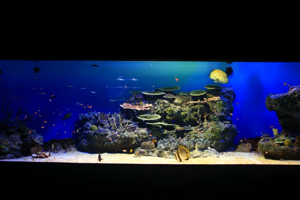 海の部屋