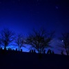 夜木