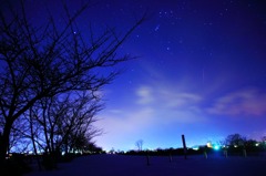 夜星