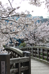 鼎小橋