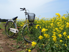 錆と花