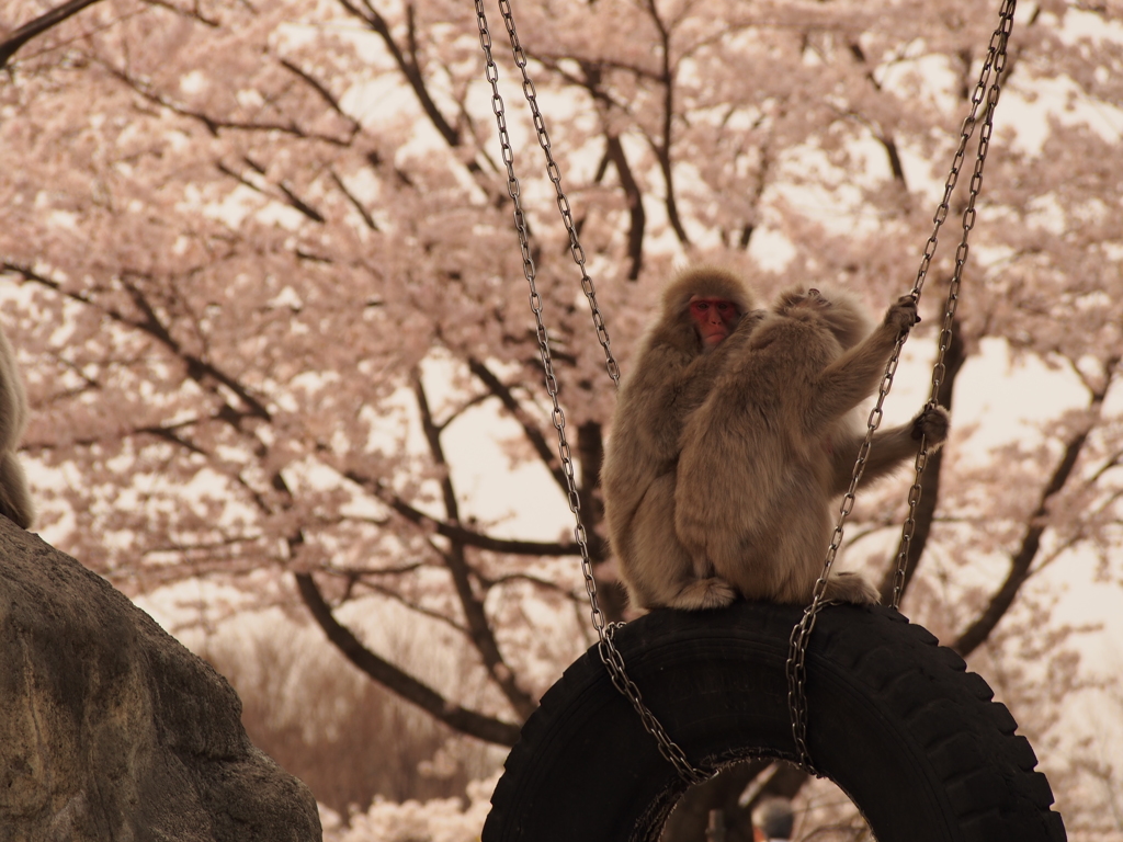 「ん？」