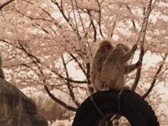 「ん？」