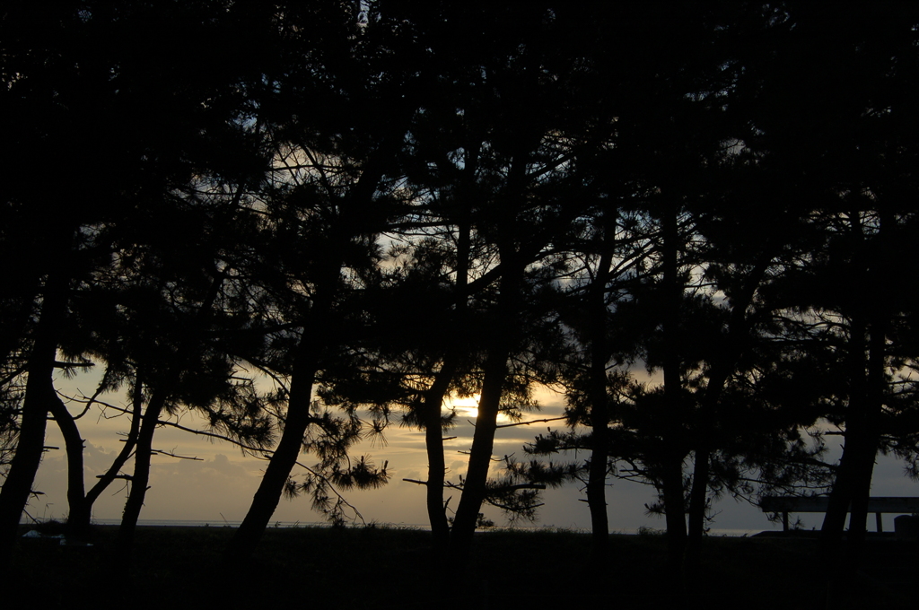 南荒尾の松原と夕日