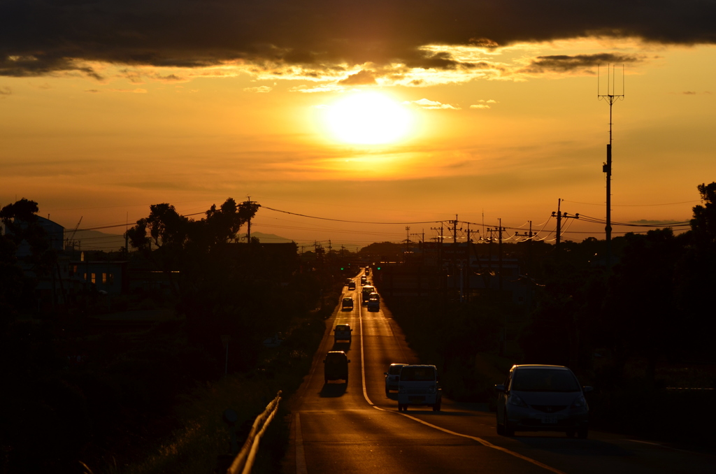 国道501号