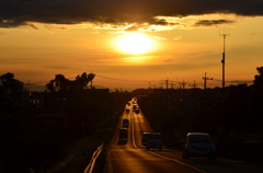 国道501号