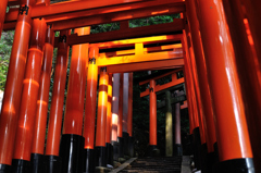 夕暮れ鳥居