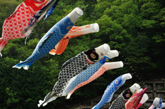 元気に泳げ