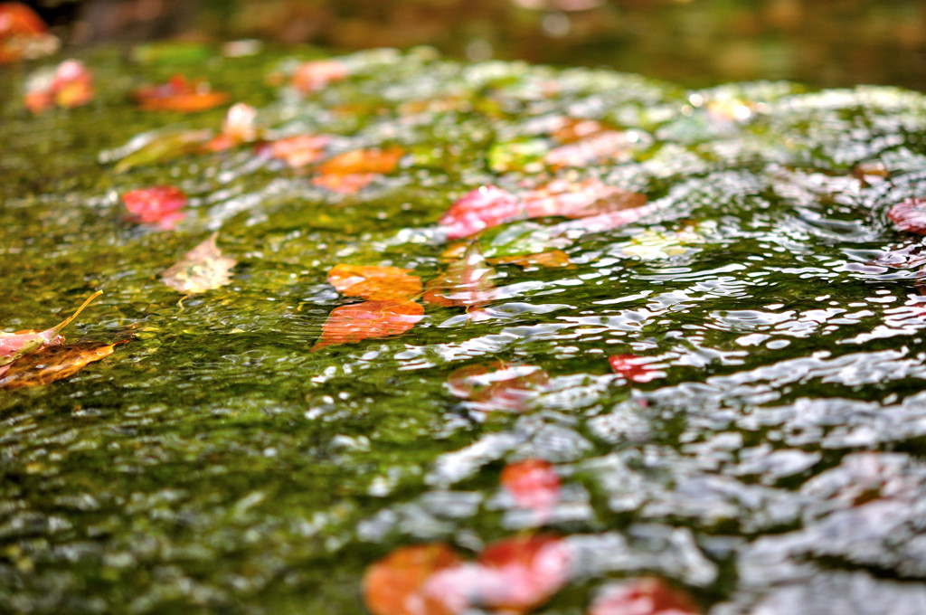 水面