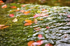 水面
