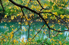 the cool of autumn