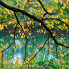 the cool of autumn