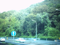 高速道路