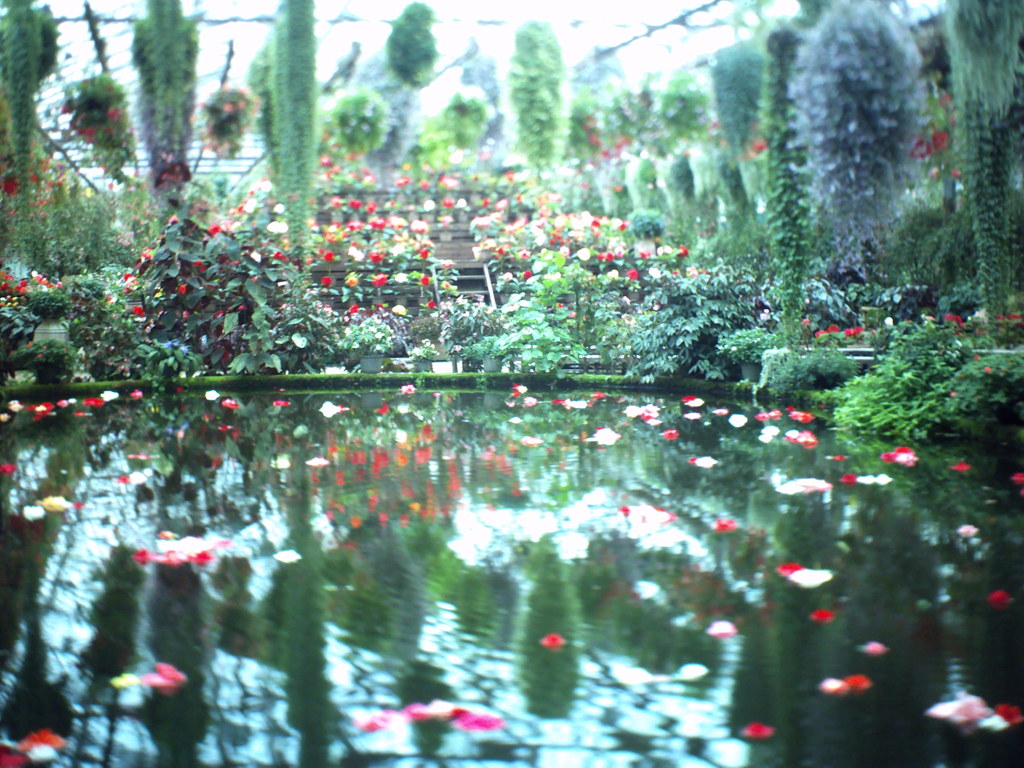 富士花鳥園