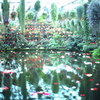 富士花鳥園