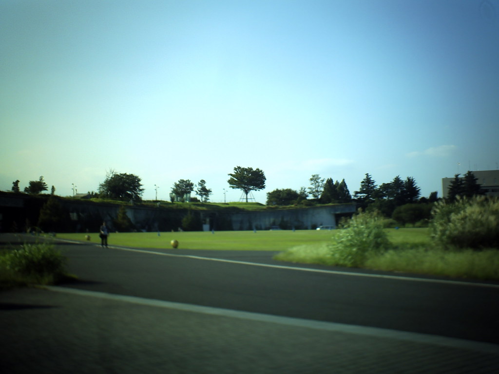 昭和記念公園