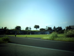 昭和記念公園