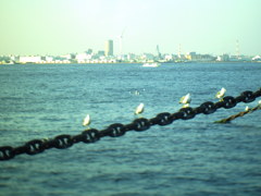 横浜
