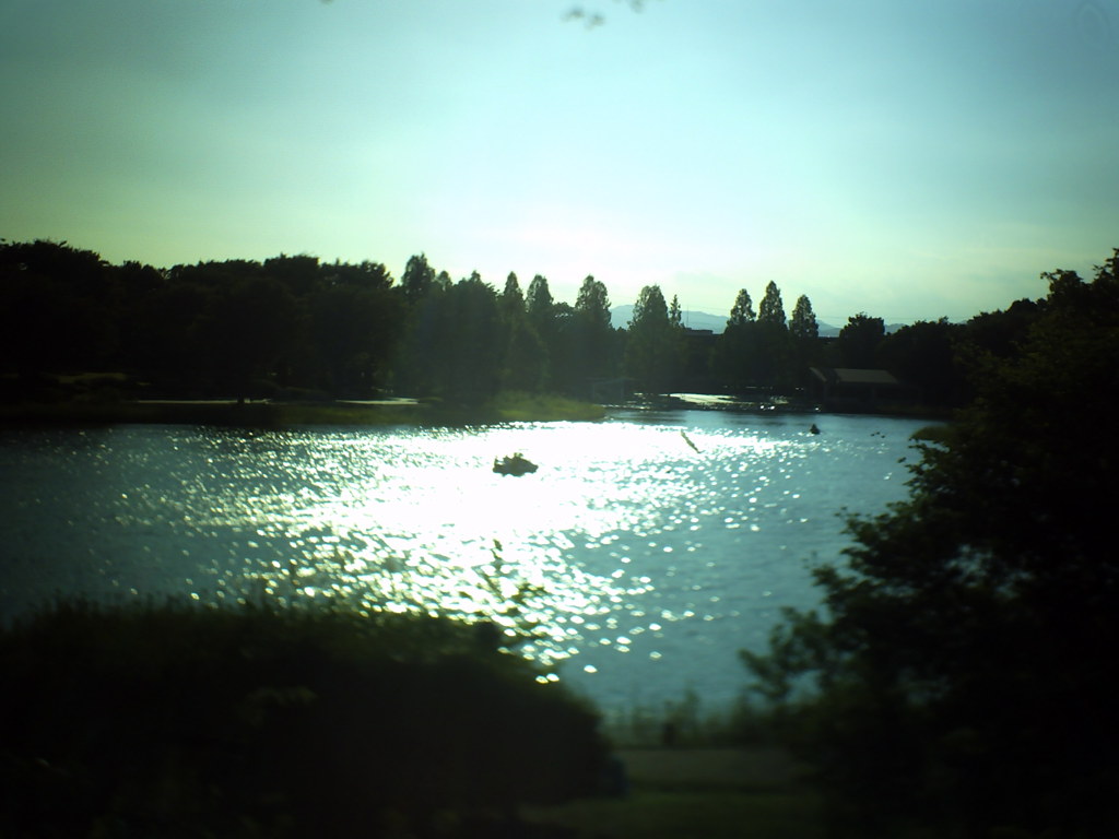 昭和記念公園