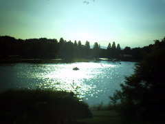 昭和記念公園