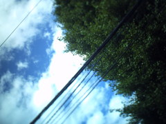 夏の空