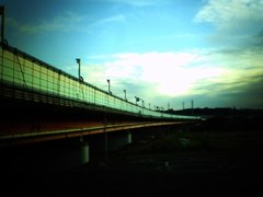 多摩川