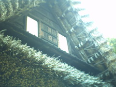生田緑地