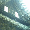 生田緑地