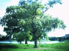 多摩川