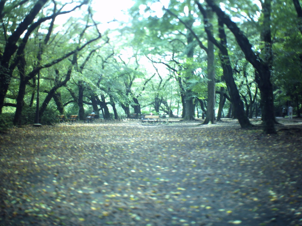 井の頭公園