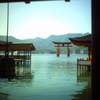 厳島神社。