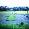 多摩川