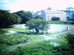 多摩川