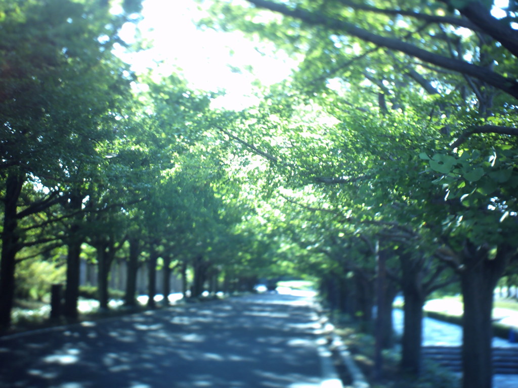 昭和記念公園