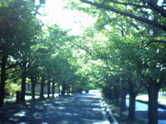 昭和記念公園