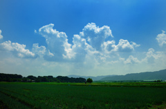 湧き立つ雲