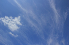 空模様7.31