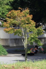 休憩中