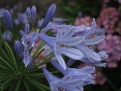 IMG_0759