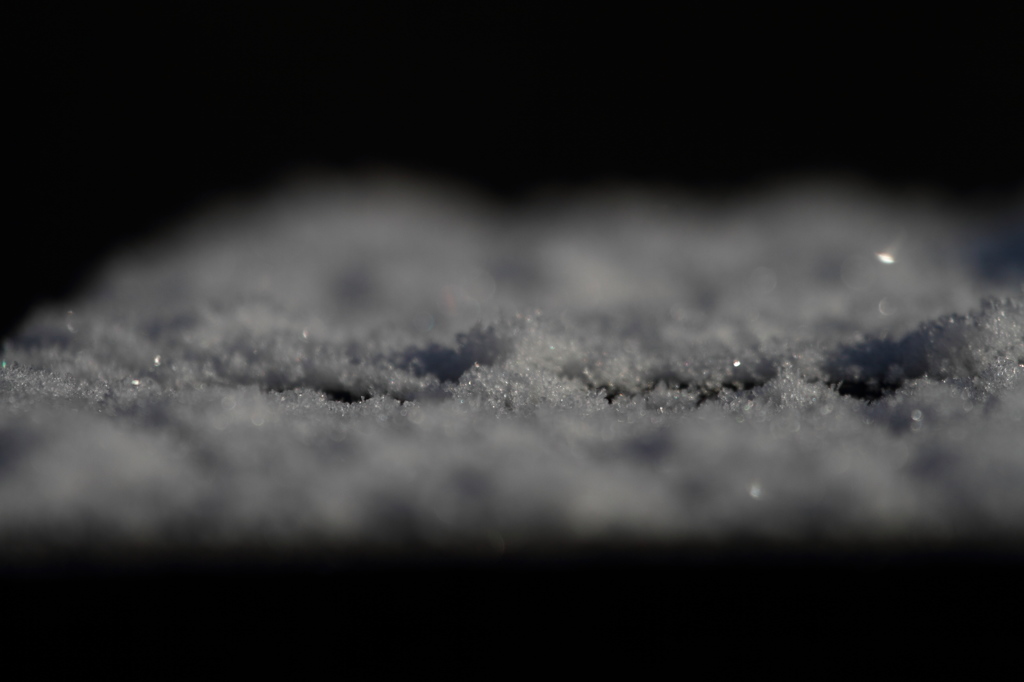 雪でした