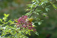 P1000456