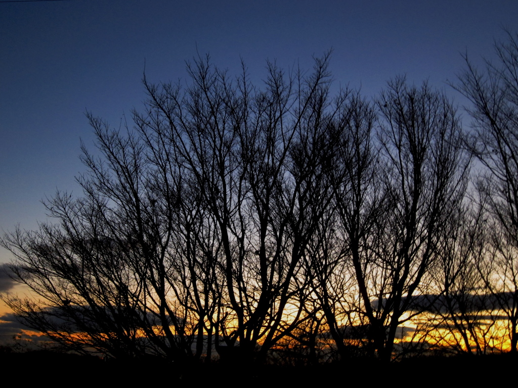 夕景13.1.10