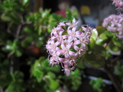 IMG_0190
