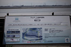 再び藤前干潟