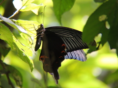 DSCN2725