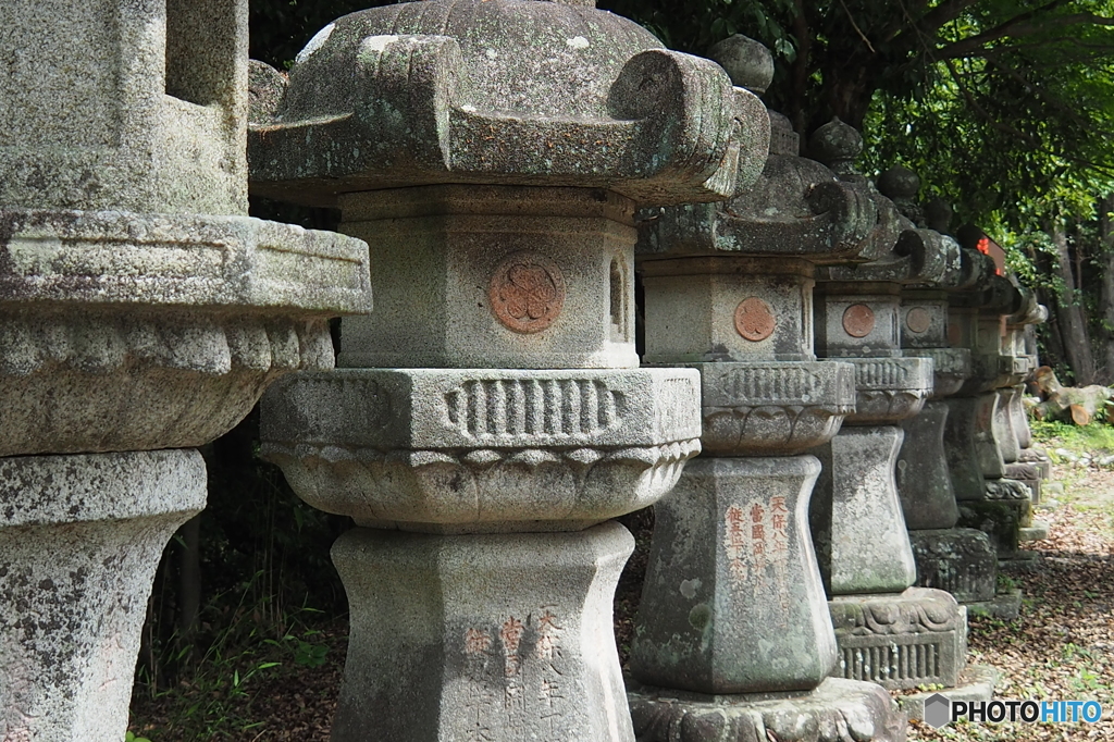 徳川家ゆかり①