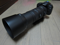 New Item
